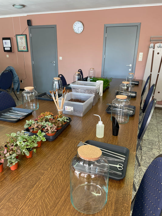 Workshop: gesloten terrarium maken 15/08