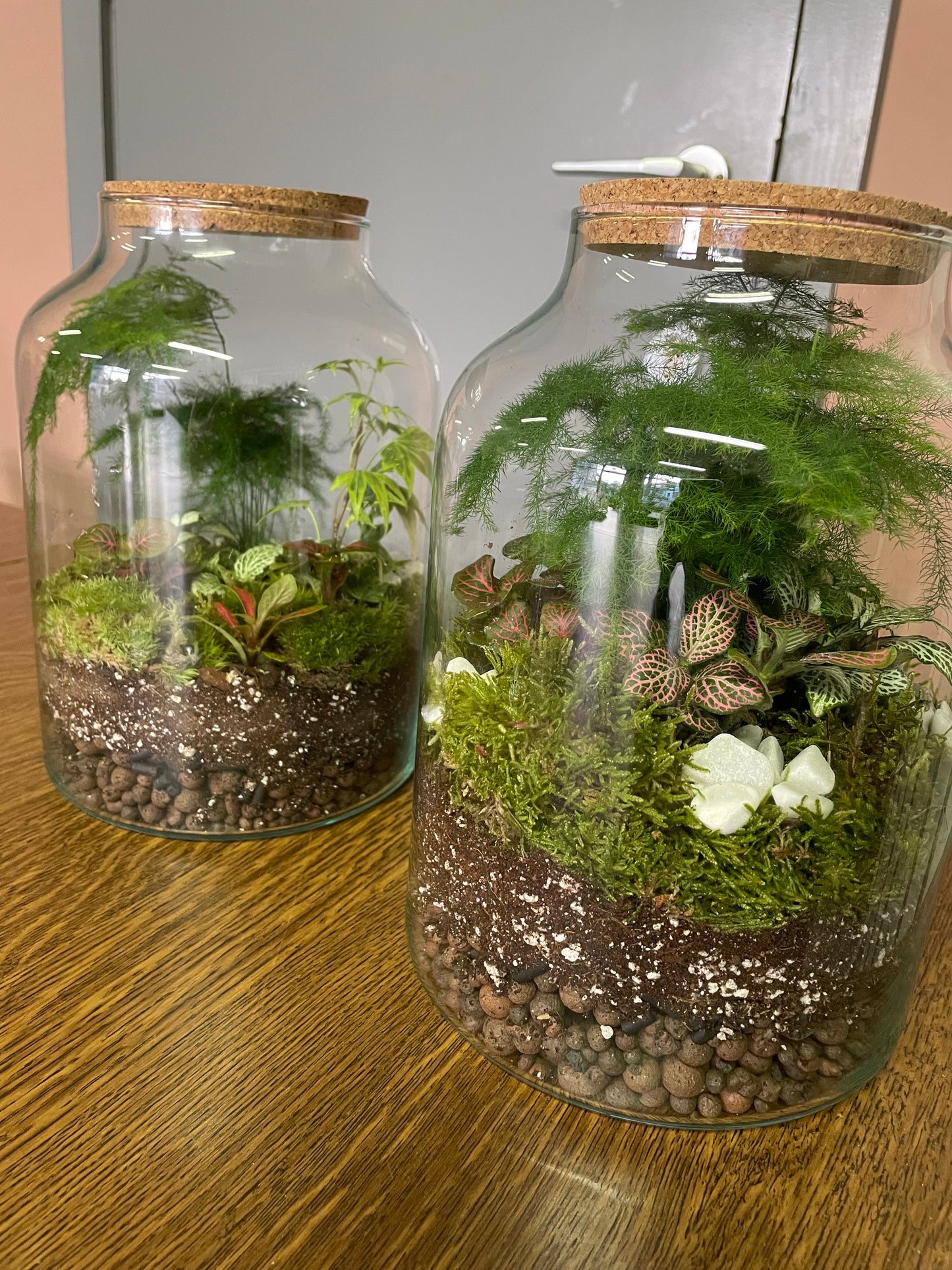 Workshop: gesloten terrarium maken 29/06
