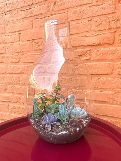 Terrarium met vetplantjes