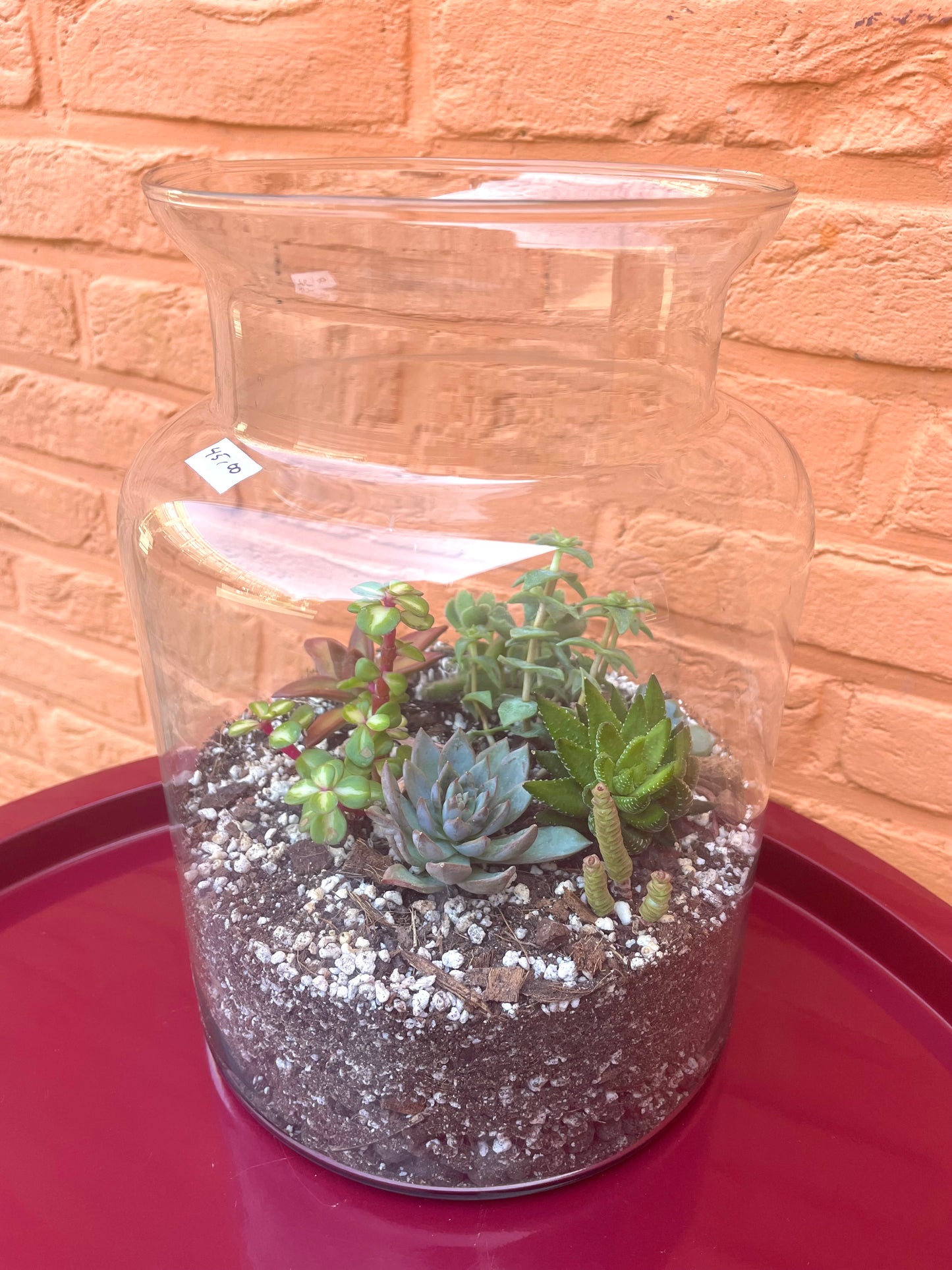 Terrarium met vetplantjes