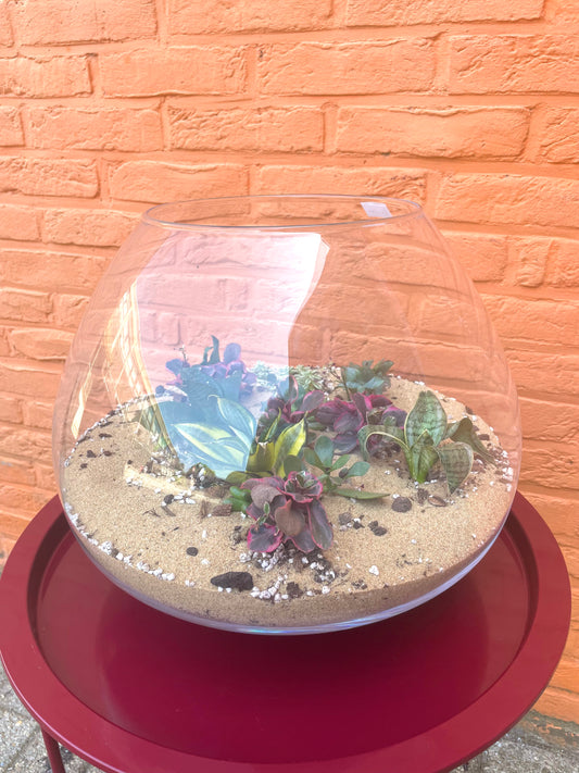 Terrarium met vetplantjes