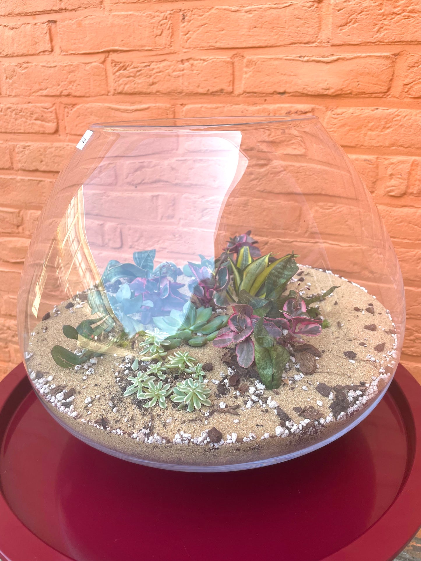 Terrarium met vetplantjes