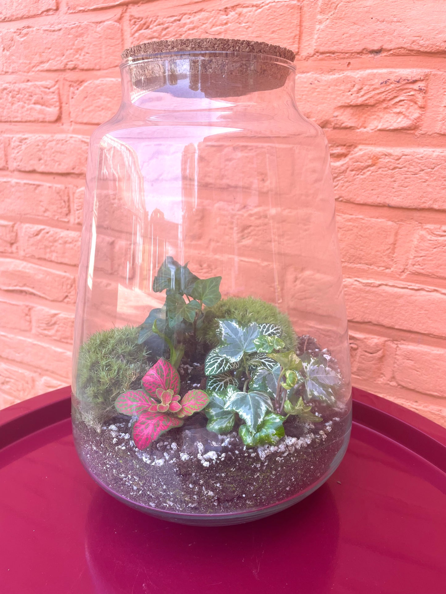 Terrarium/gesloten ecosysteem
