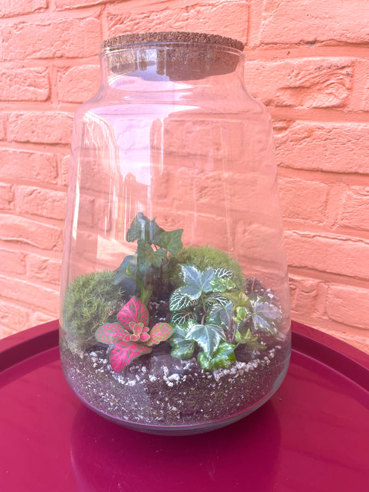 Terrarium/gesloten ecosysteem