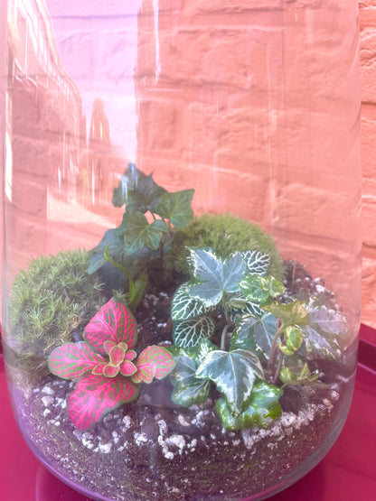 Terrarium/gesloten ecosysteem