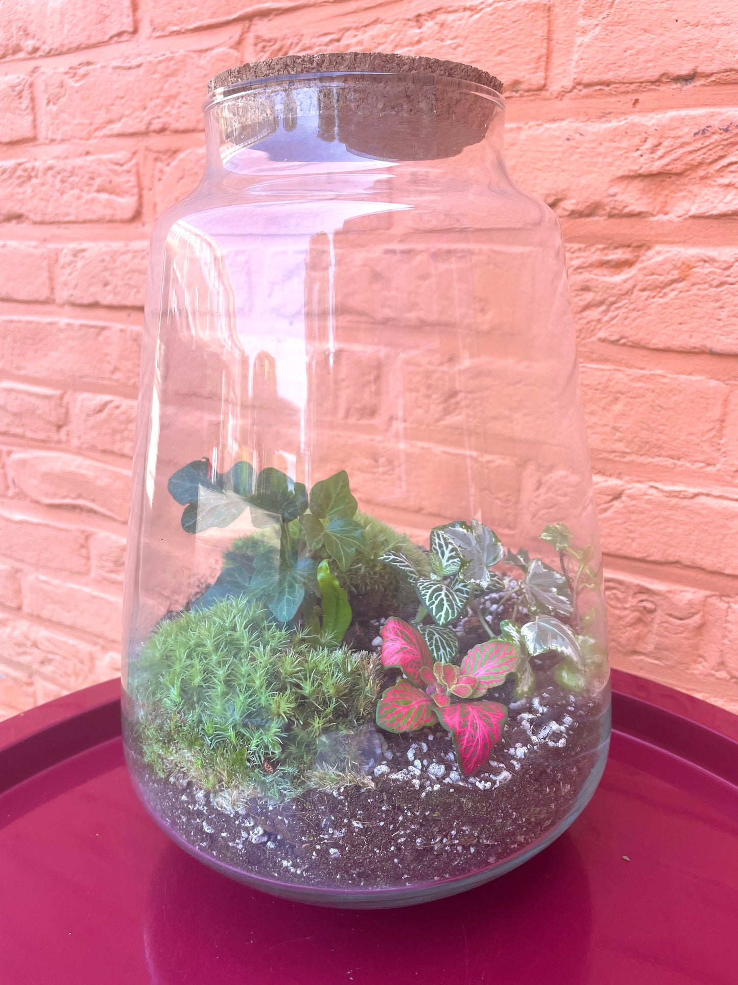 Terrarium/gesloten ecosysteem