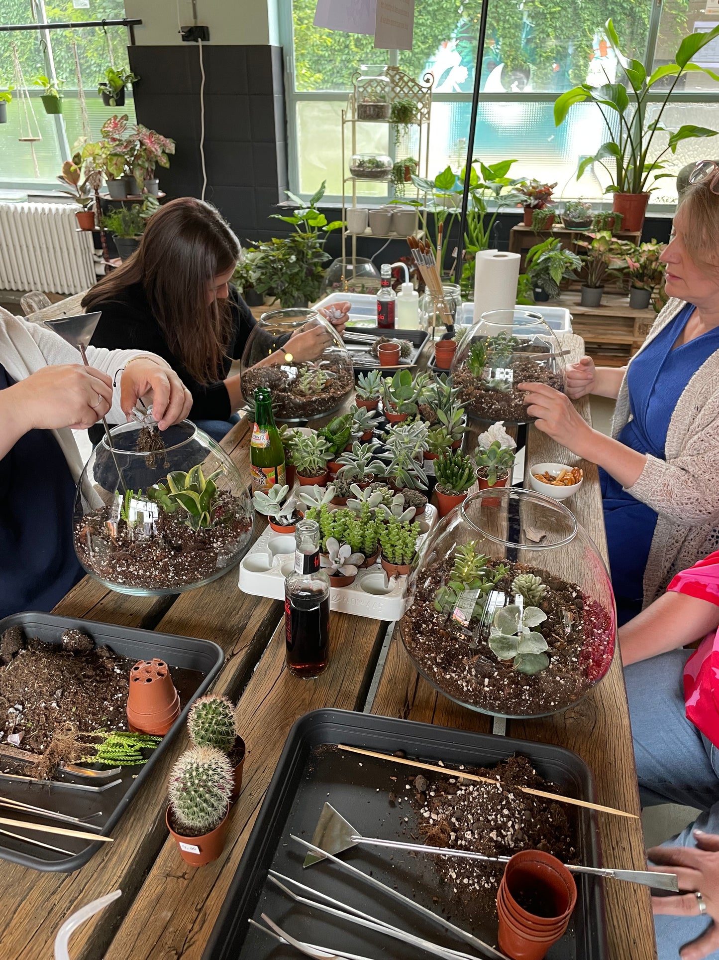 Workshop: terrarium met vetplantjes maken 02/09
