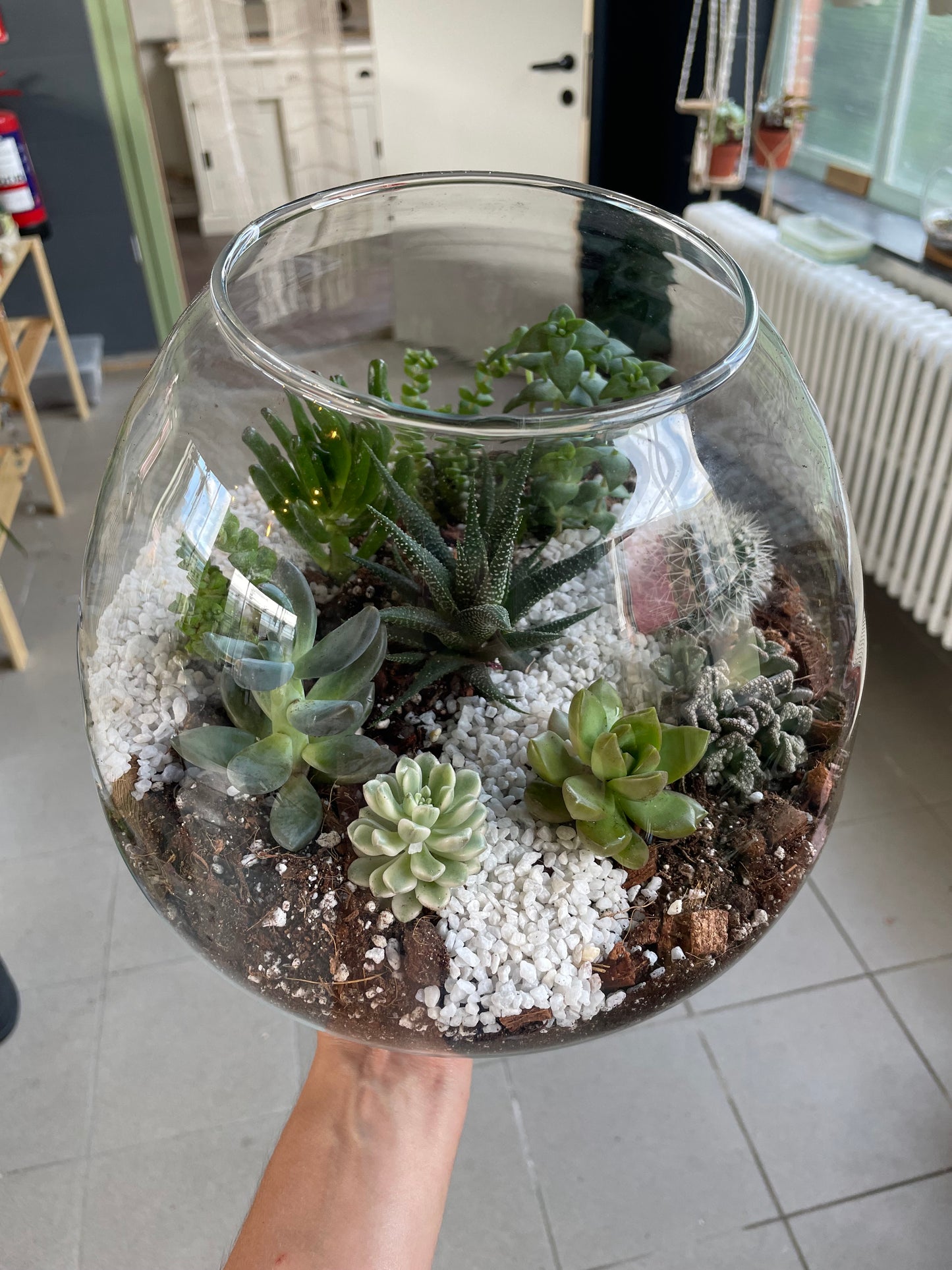 Workshop: terrarium met vetplantjes maken 02/09