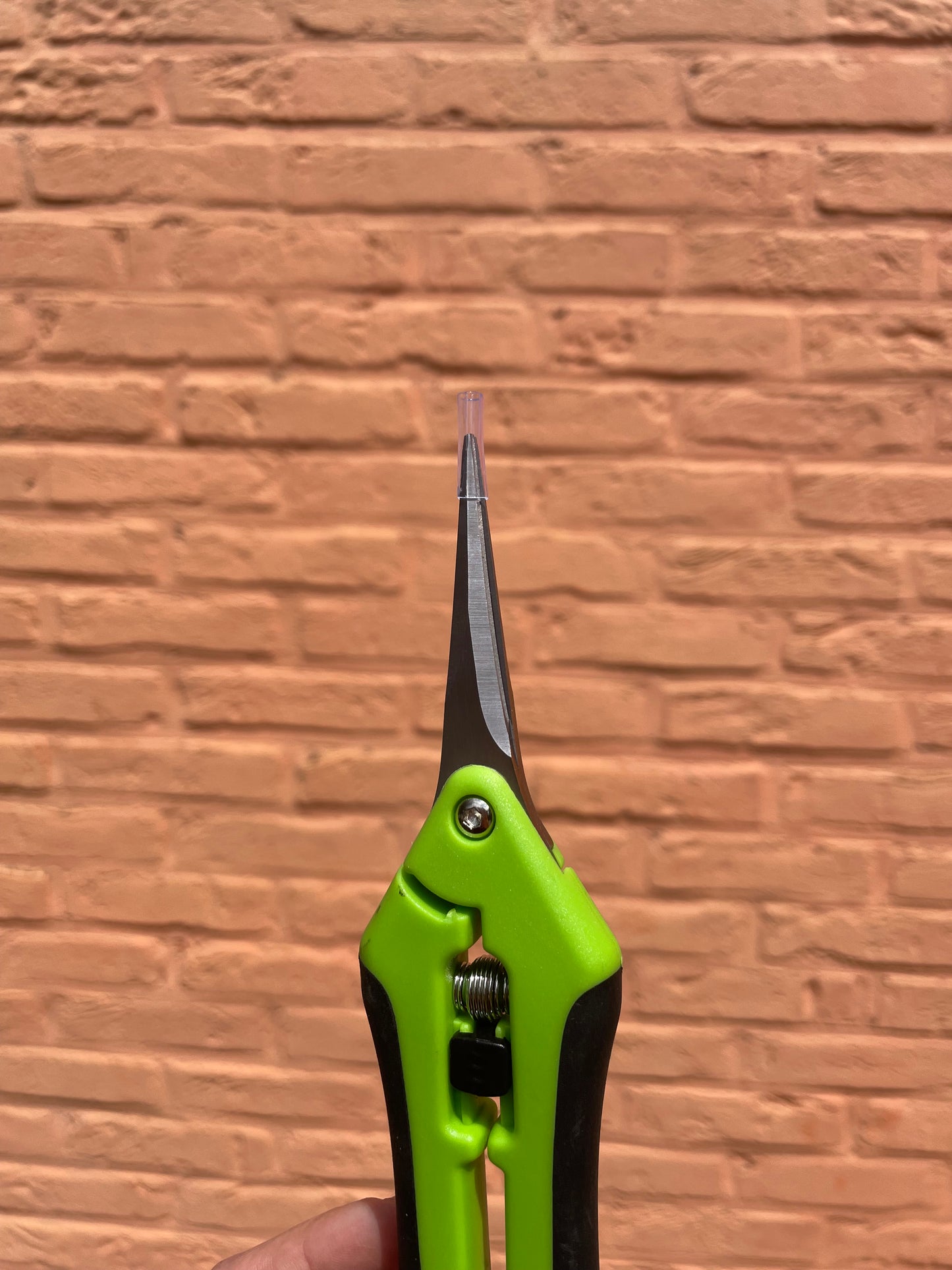Snoeischaar